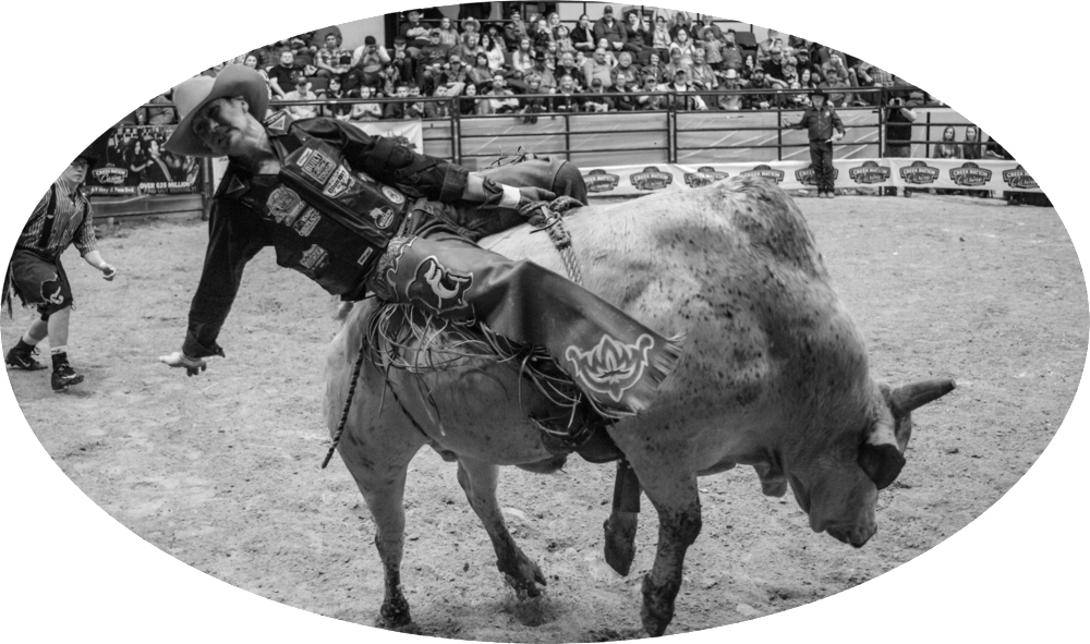For Me Personally, A Better Model Is A Bull And A Rider - Working Animal (1000x591), Png Download