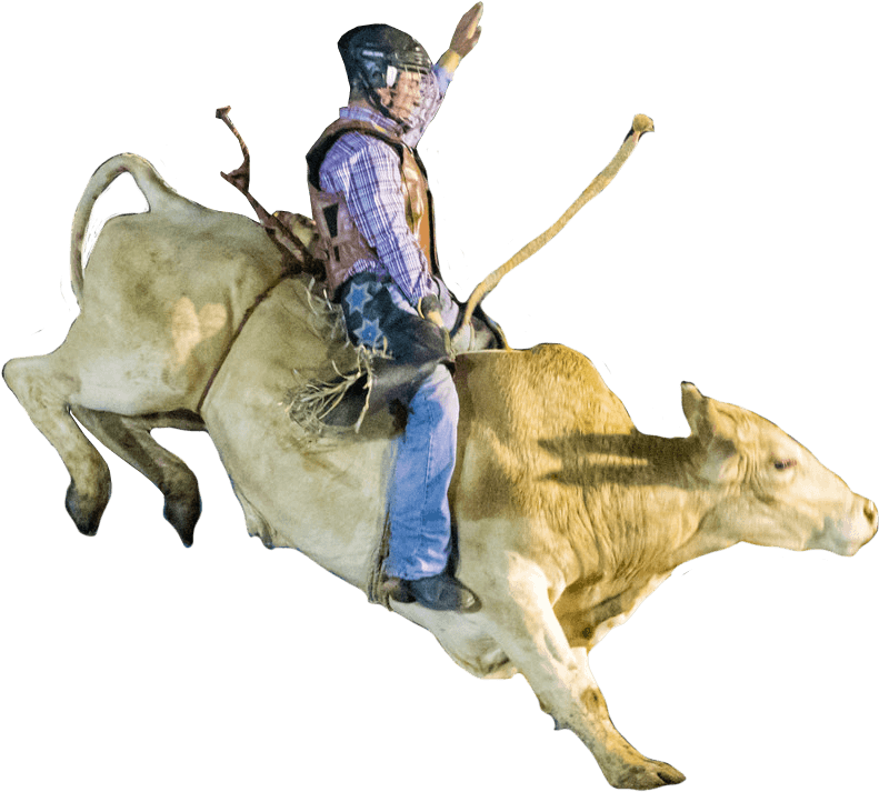Cowboy On A Bucking Bull - Bucking Bull (818x733), Png Download
