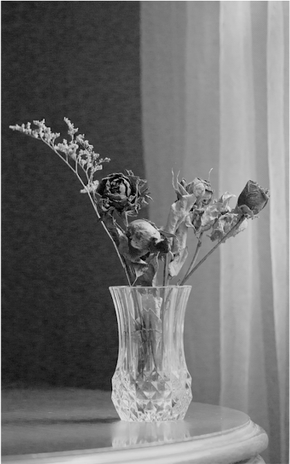 Vase (670x670), Png Download