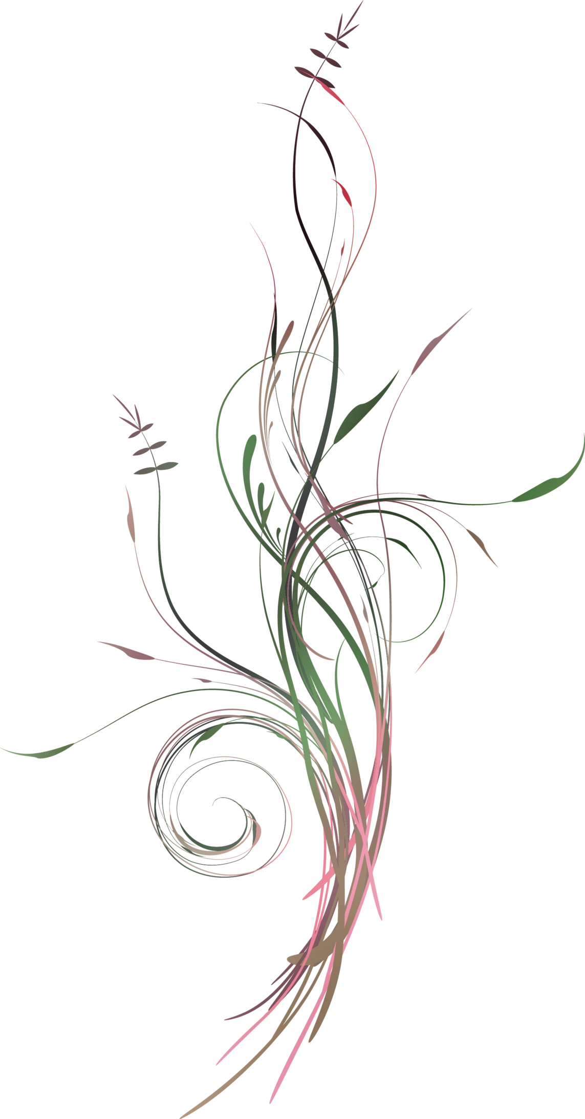 ʙ-ʙɪᴛᴇ ᴍᴇ ↪ʙᴀʙʏ - Flower Png Vertical (1143x2186), Png Download