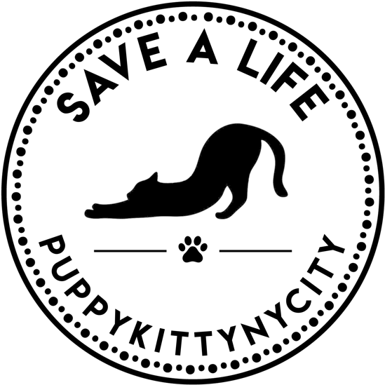 Pknyclogo2 (640x640), Png Download