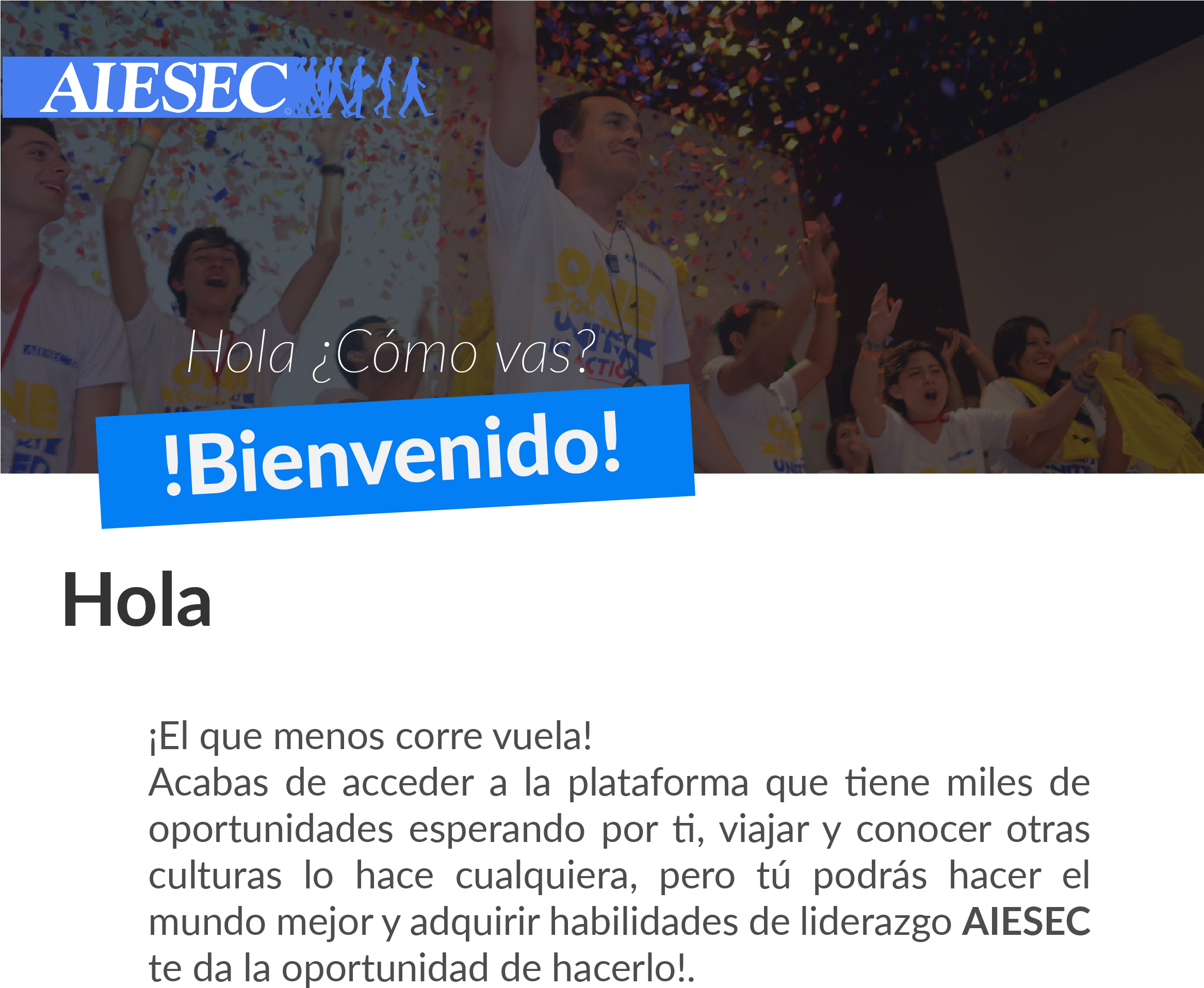 Corrección Ln 06 - Aiesec (2333x1996), Png Download