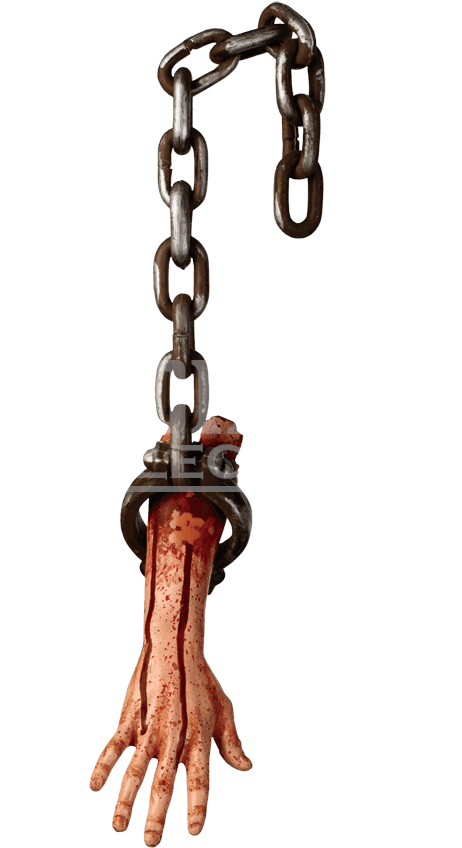 Hanging Bloody Arm - Forum Novelties Bloody Hanging Prop Arm (865x865), Png Download