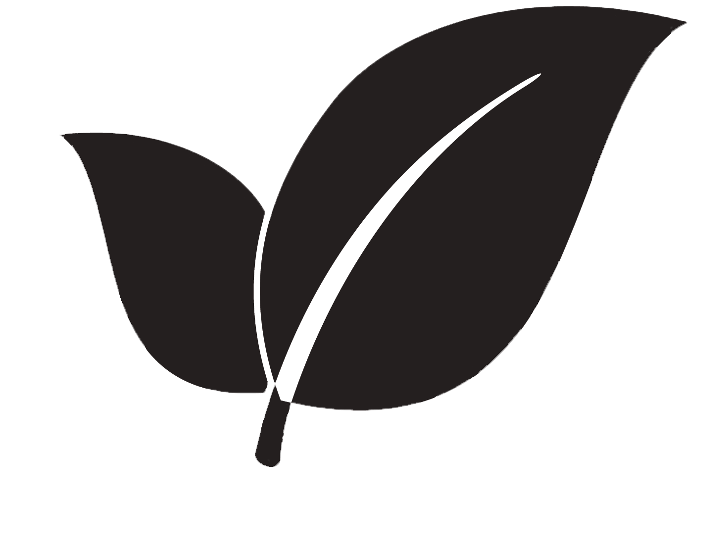 Eco (1468x1298), Png Download