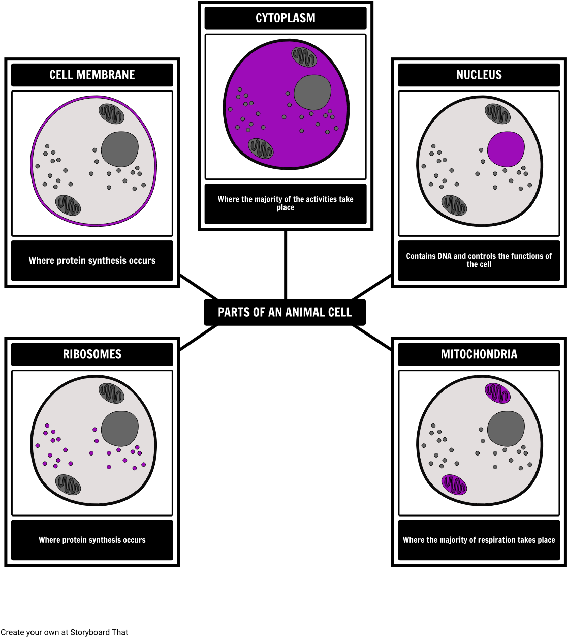 Create Two Graphic Organizers (1142x1277), Png Download