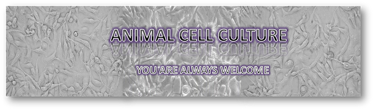 Cell Culture (768x229), Png Download