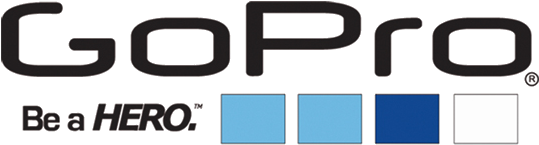 Go Pro (550x550), Png Download