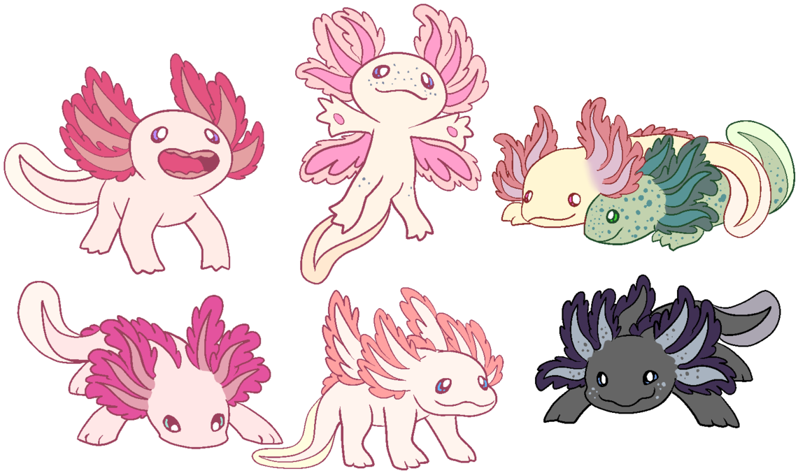 My Lil Axolotl Dragon Babies~ - Axolotl Dragon (1280x767), Png Download