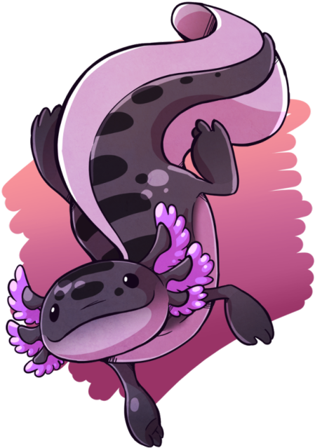 Axolotl - Purple (500x689), Png Download
