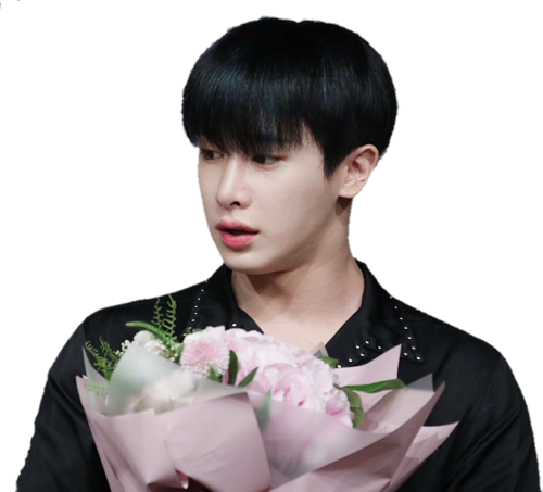 Kpop, Kpop Png, And Wonho Png Image - Portable Network Graphics (500x453), Png Download
