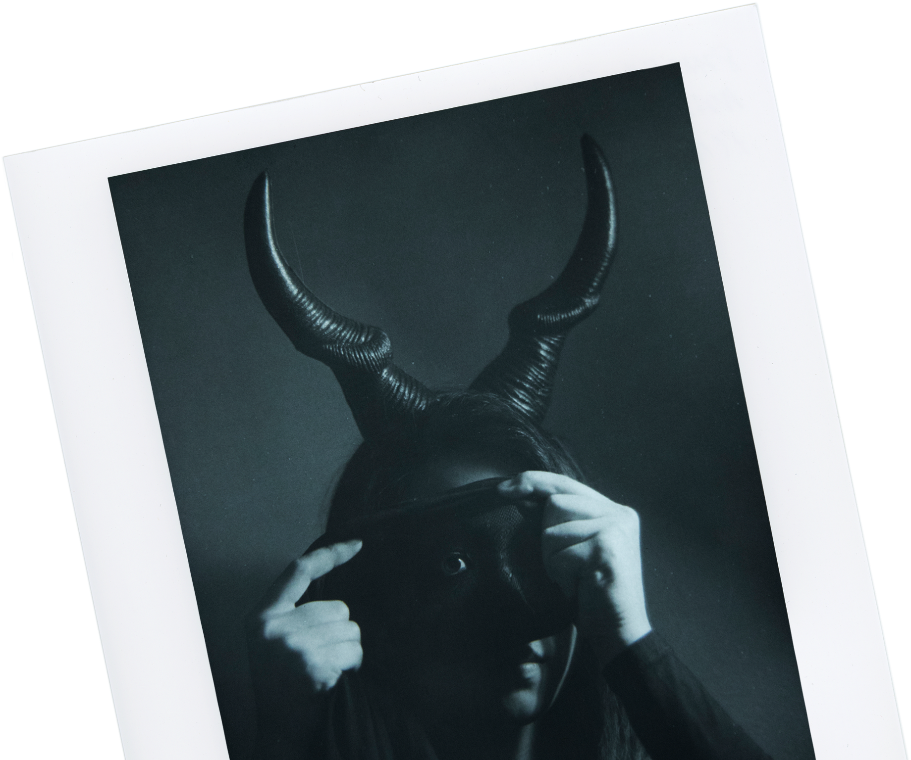 Deer (2846x2135), Png Download