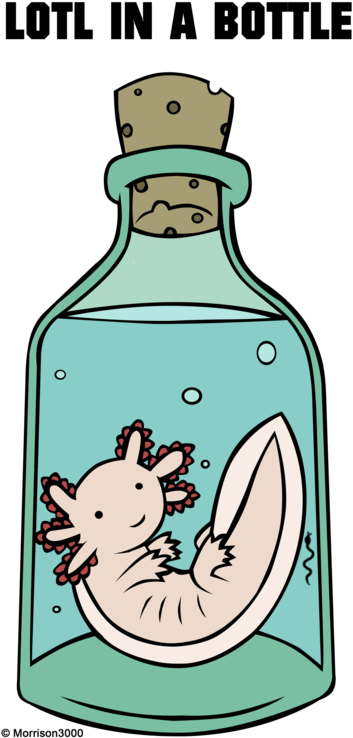 More Like Know Your Axolotl By ~morrison3000 - Axolotl Toys Transparent (400x772), Png Download