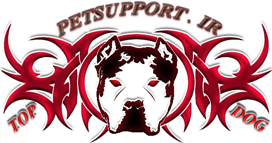 4 Reddark Black Face Border - Tattoo (560x311), Png Download