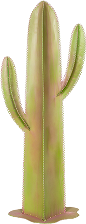 Sonora Desert Cactus - Sonoran Desert (400x600), Png Download