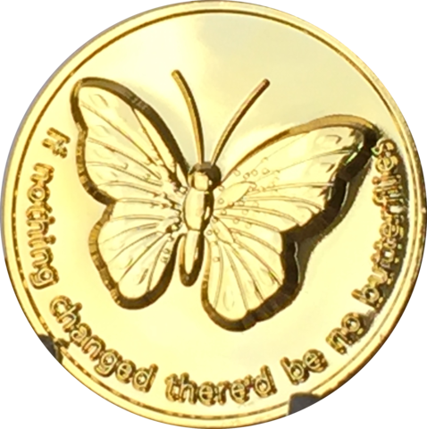 Butterfly If Nothing Changed There'd Be No Butterflies - Alcoholics Anonymous (478x480), Png Download