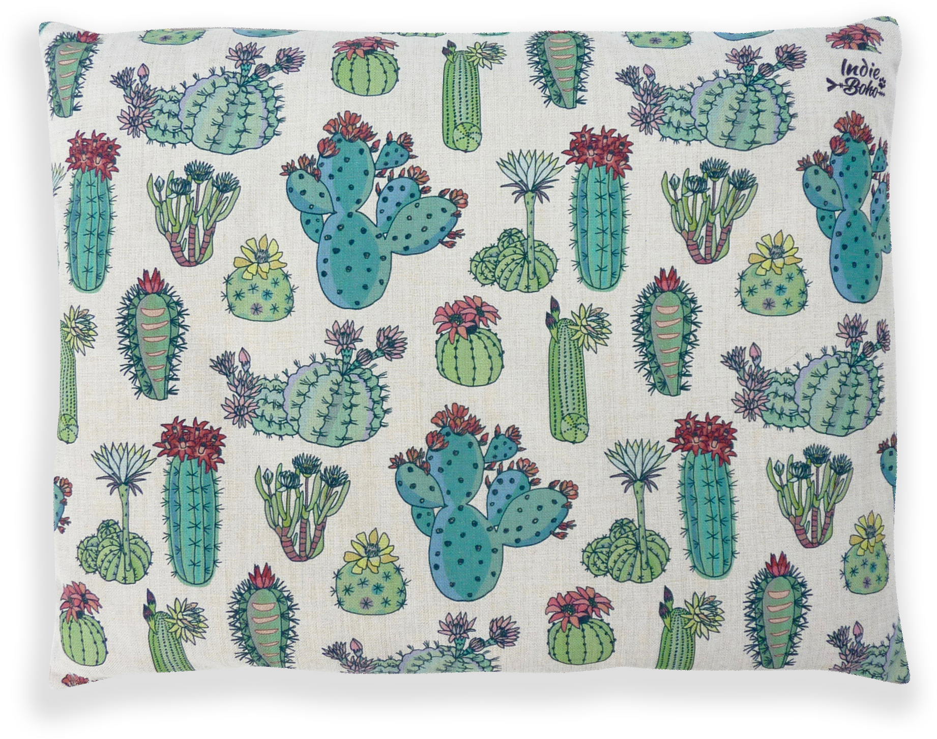 Desert Cacti Medium Bed - Cactus (2000x2000), Png Download