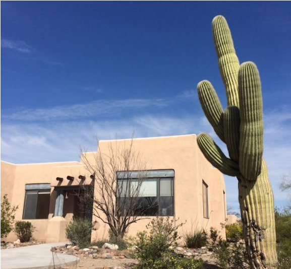 A Tucson Home On The Arizona/sonoran Desert - Hedgehog Cactus (800x533), Png Download
