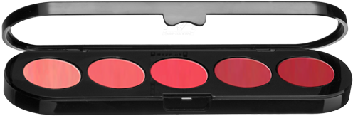 Atelier Lip Palette (500x500), Png Download
