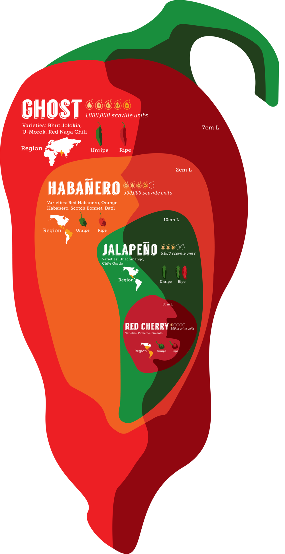 Pepper Infographic (1000x1945), Png Download