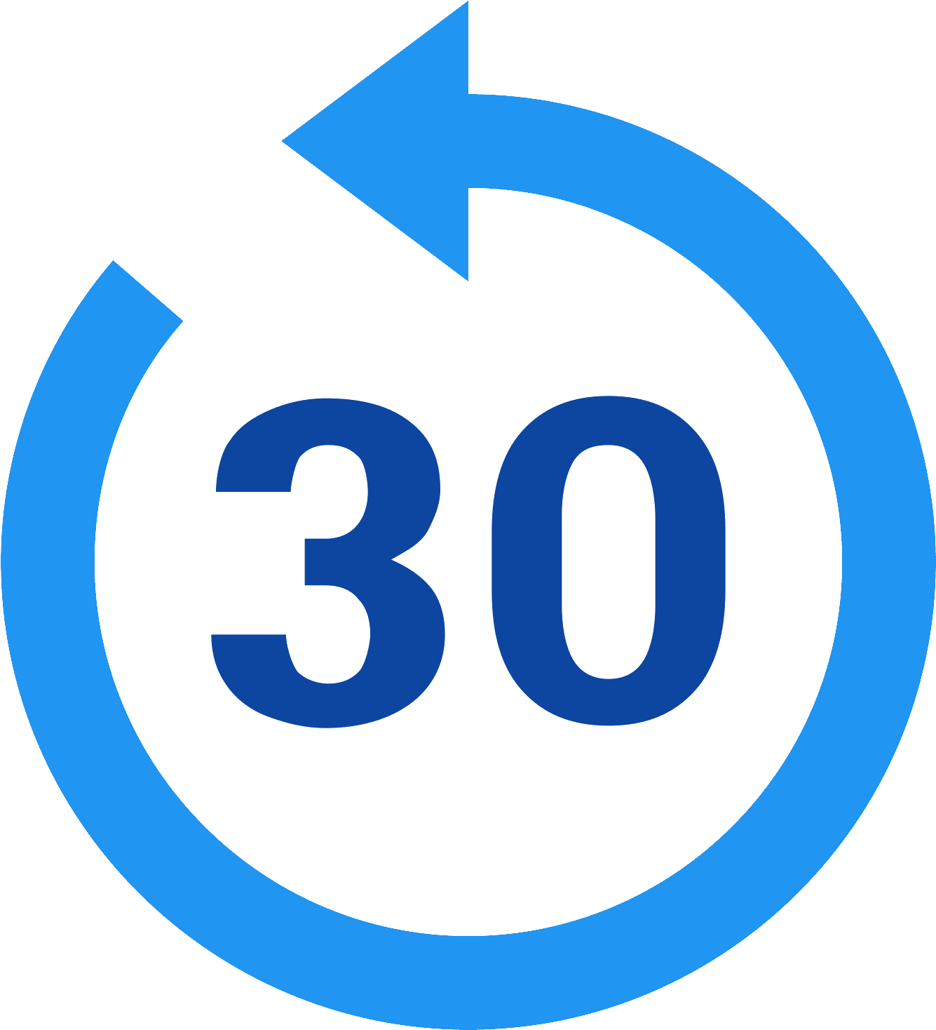 Replay 30 Icon - Icon (1600x1600), Png Download