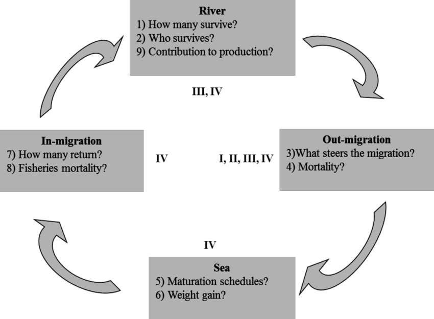 Research Objectives Of The Thesis - Research (850x625), Png Download