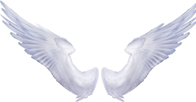 Angel Wings Transparent (640x480), Png Download
