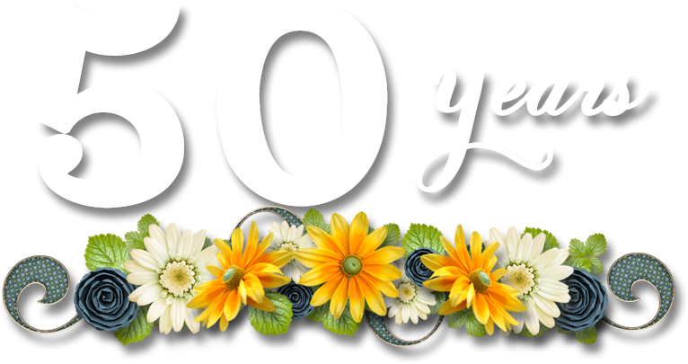 2018 Grand Family Reunion - Kissen - Gänseblümchen Auf Basketweave/basketweave (766x405), Png Download