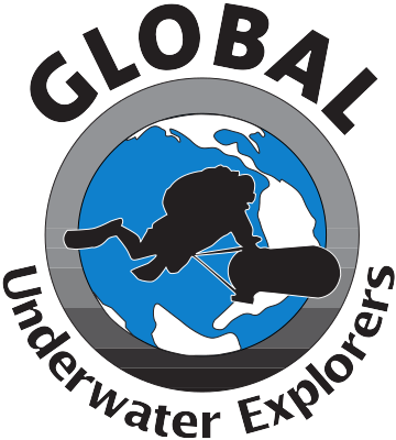 Osama Gobara - Gue Diving (440x440), Png Download