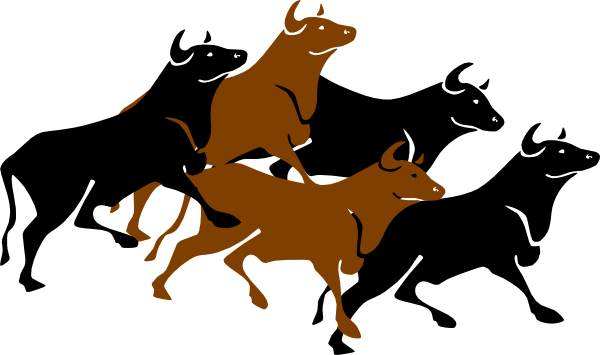 Bull Stampede Agitated Clip Art - Stampede Clipart (600x355), Png Download