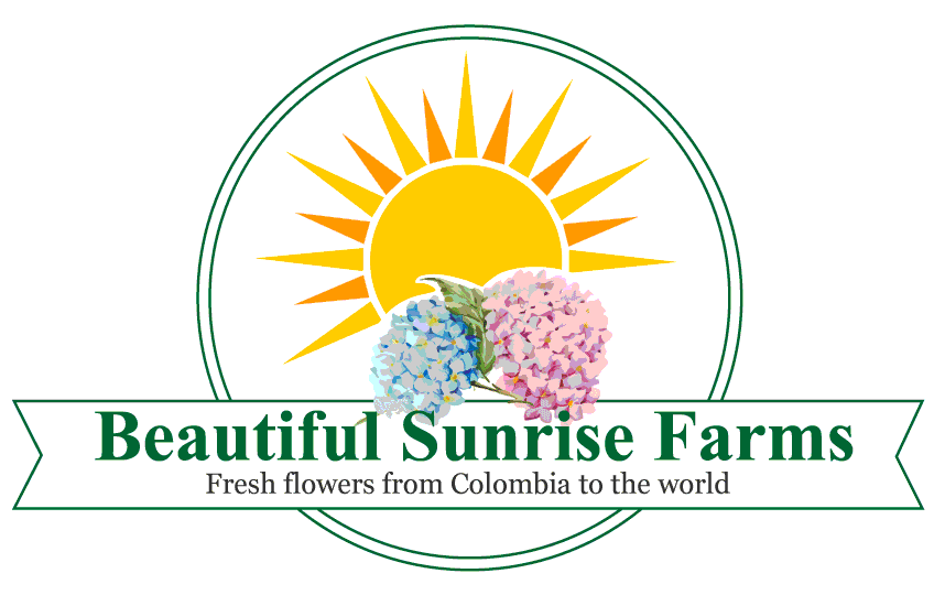 Logo Beautiful Sunrise Flowers Actualizado - Logo (892x594), Png Download