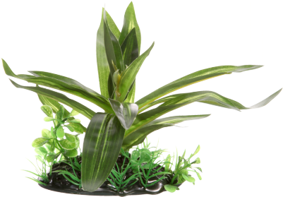 This Beautiful Fluval Decorative Plant Adds A Realistic - Fluval Giant Sagittaria - Small - 10 Cm (4 ) (400x400), Png Download