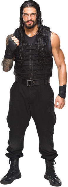 Roman Reigns 3 22september2014 - Roman Reigns Full Size (231x633), Png Download