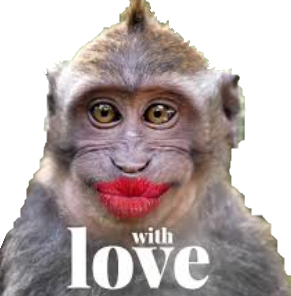 Monkey Monkeys Kiss Love Funny Funnymonkey Funnymonkeyf - Monkey Kiss (1008x1024), Png Download