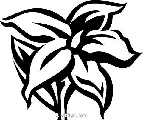 Jasmine Royalty Free Vector Clip Art Illustration - Jasmine Vector (480x402), Png Download