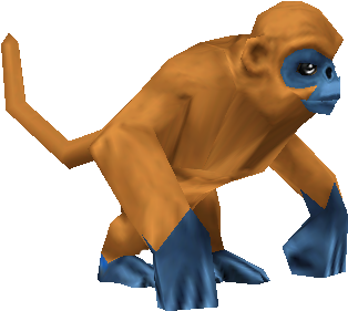 She Is An Orange Monkey, With Grey Eyes - Wiki (600x400), Png Download
