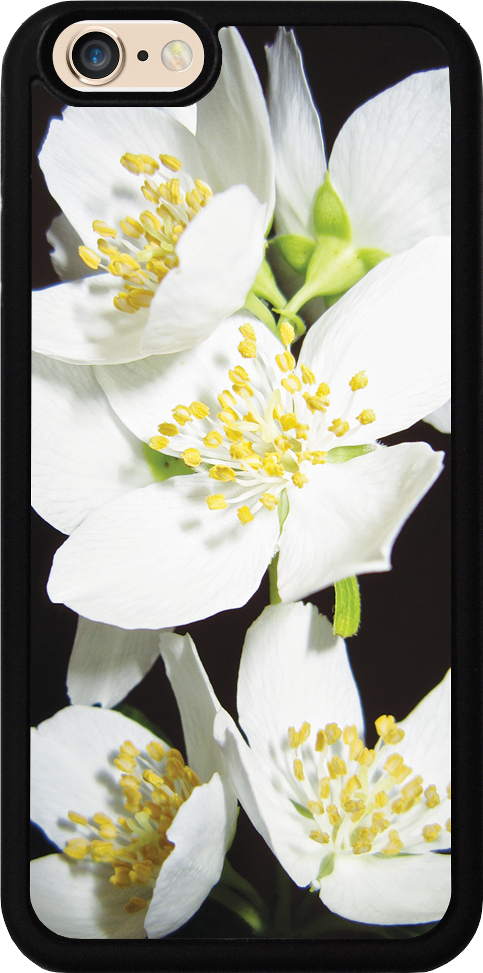 Jasmine Flowers Case - Der Duft Des Jasmins (1141x2028), Png Download