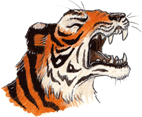 Power Of A Tiger - Siberian Tiger (500x411), Png Download