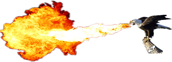 Fire Breathing Dragon Png Download - Fire Breathing Bald Eagle (599x218), Png Download