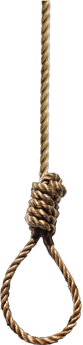 E - Rope In A Noose (280x1175), Png Download