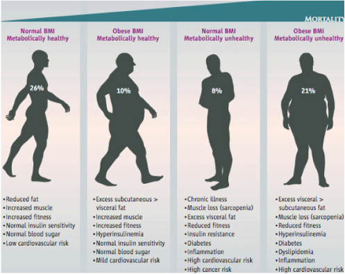 A Graphic Description Of Metabolically Healthy And - 18.5 Bmi (497x395), Png Download