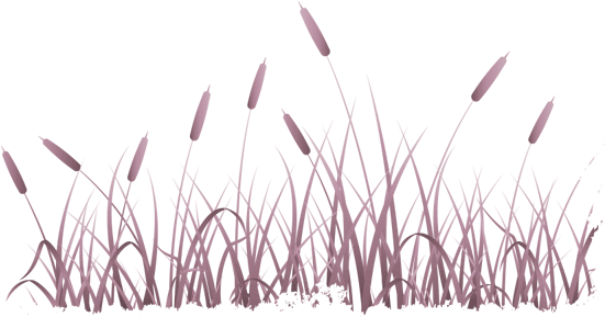 Lawn (585x321), Png Download