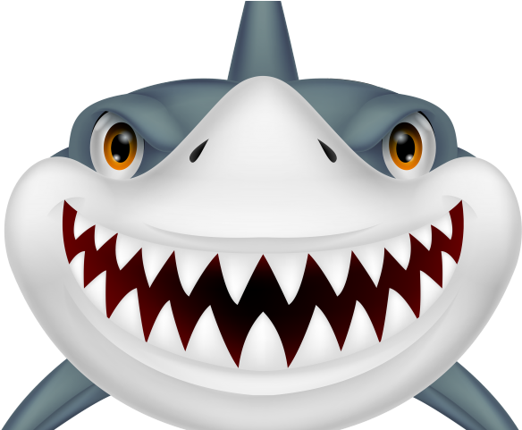 Shark Head Cartoon (640x480), Png Download