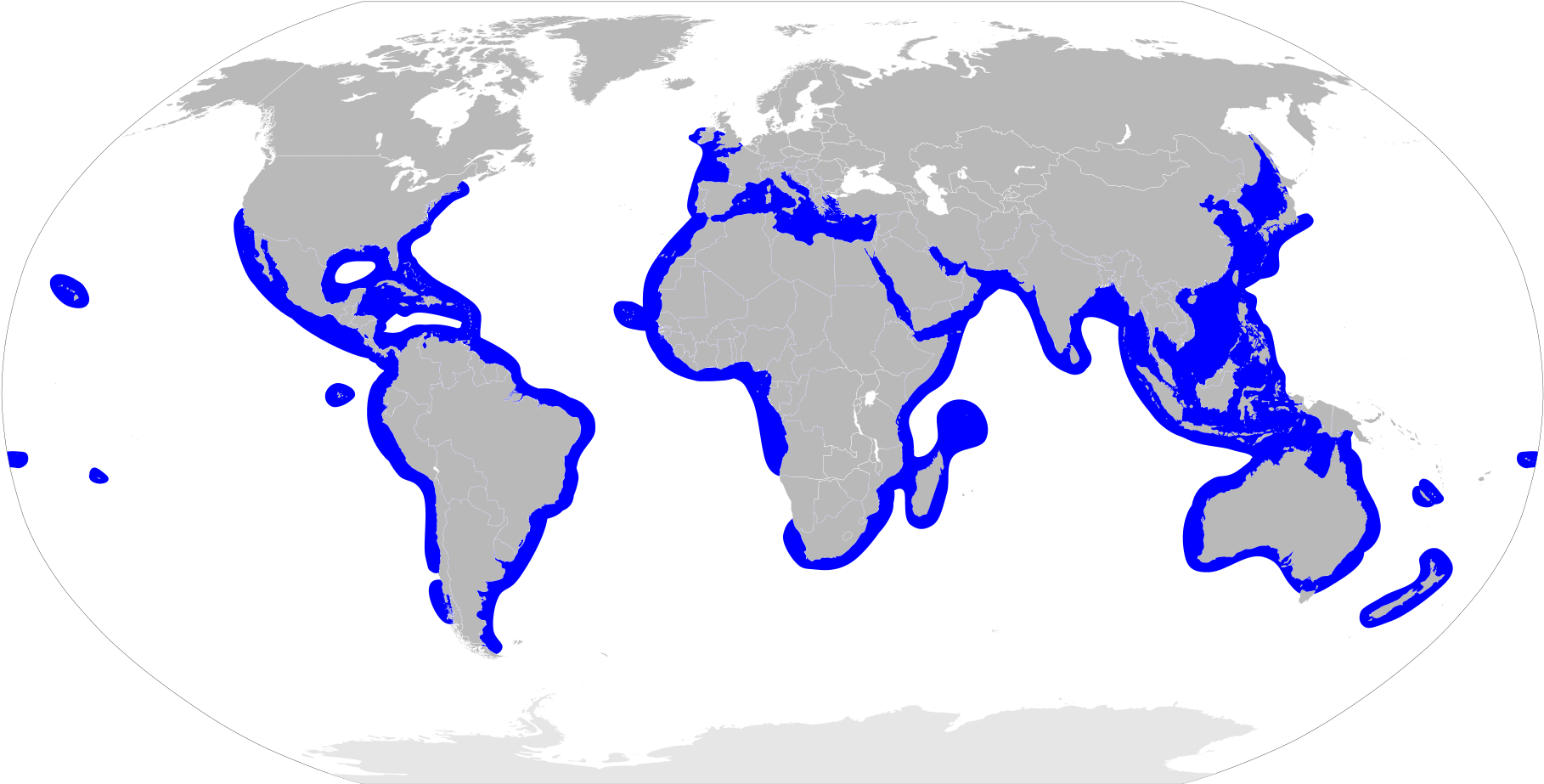 Sphyrnidae Distribution Map - Goblin Shark In Its Habitat (2000x1015), Png Download