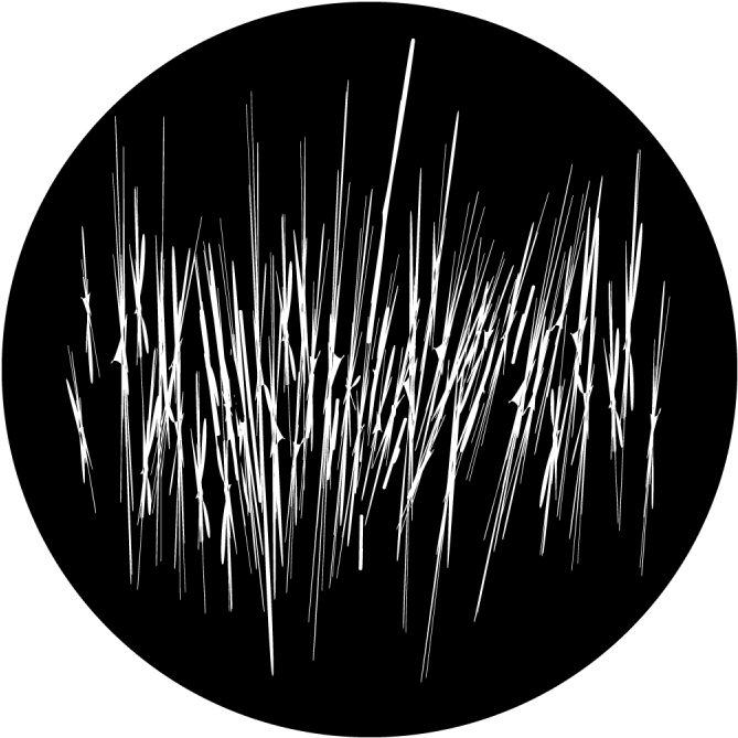 Reeds - Apollo Design 0216 Reeds B&w Superresolution Glass (800x800), Png Download