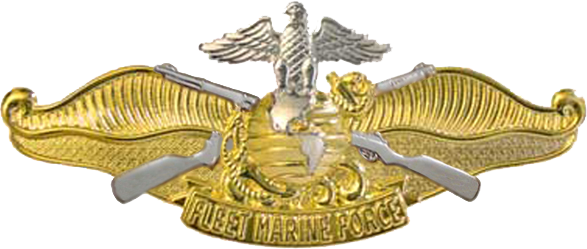 Fleet Marine Force Pin (587x249), Png Download