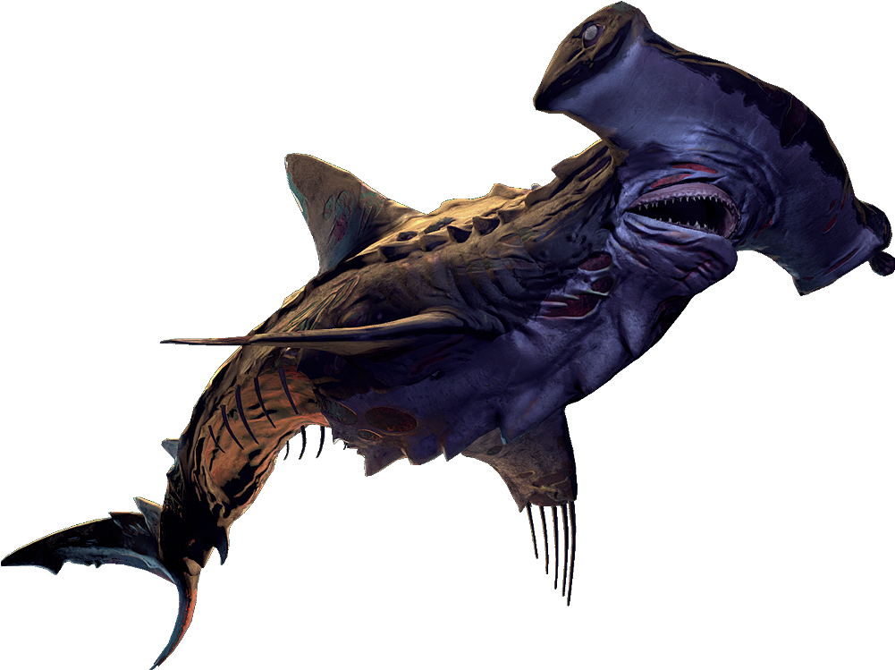 Old - Depth Old Bones Hammerhead (1000x800), Png Download