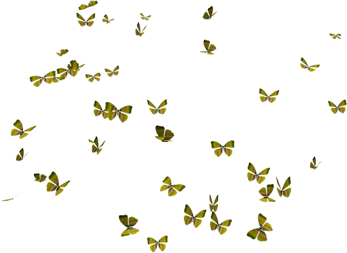 Flying Butterflies Png - Butterflies (500x364), Png Download