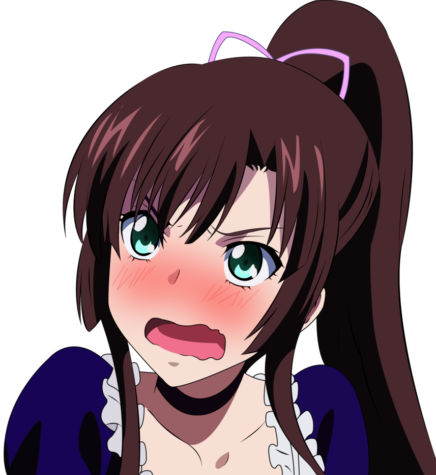 Kirasaka Sayaka Ashamed - Strike The Blood Kirasaka Sayaka (857x932), Png Download