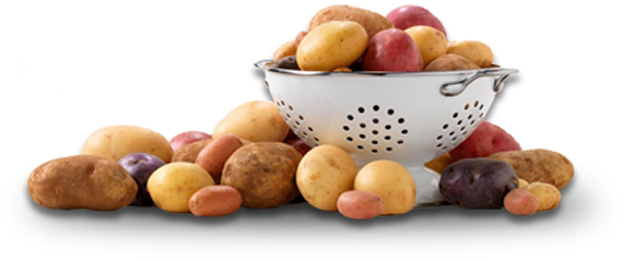 Chimichurri Twice-baked Potatoes - Potato (570x258), Png Download