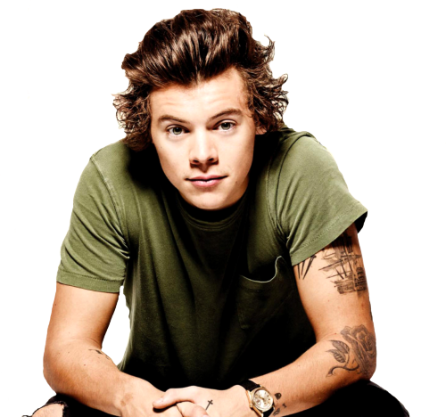 The Gallery For > Tumblr Transparent Harry Styles - Harry Styles Png 2018 (500x468), Png Download
